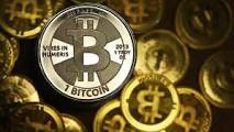 BTC Bild